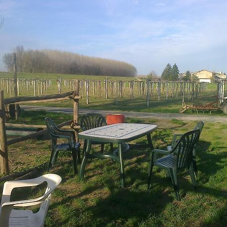 Agriturismo Antica Golena Guastalla Ngoại thất bức ảnh
