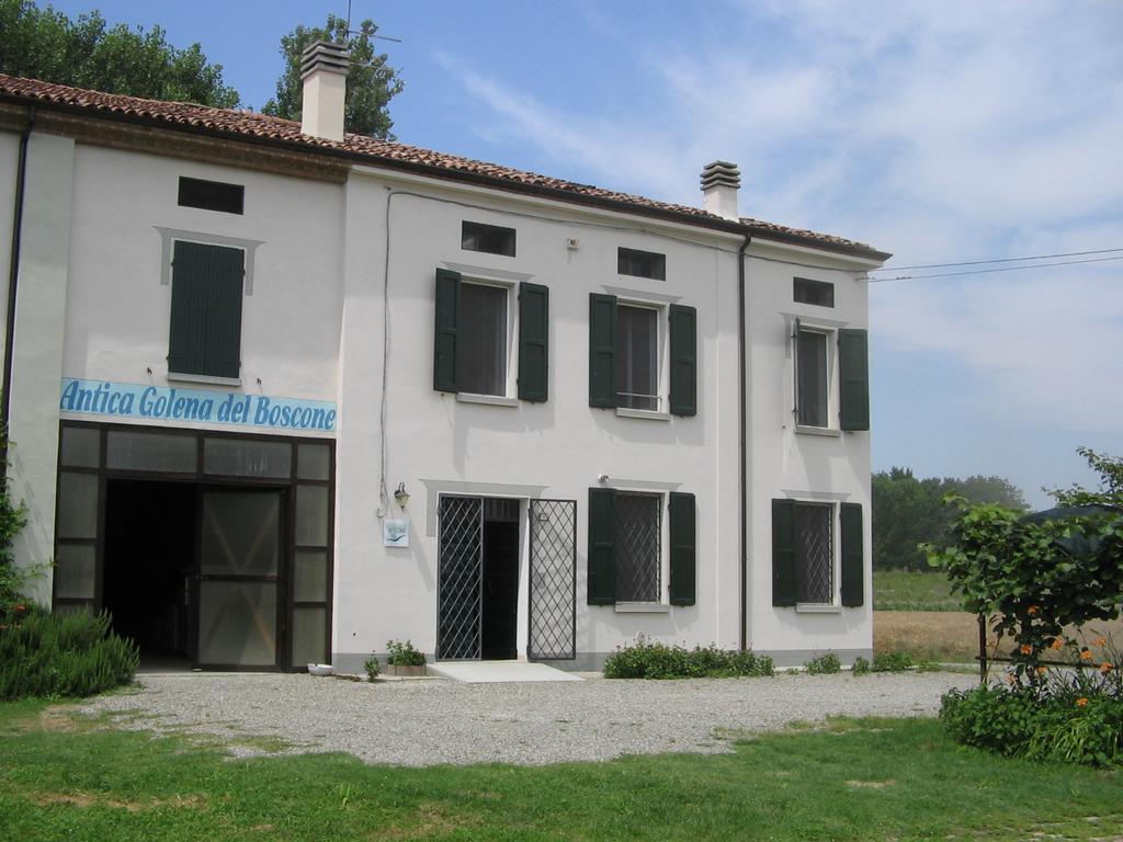 Agriturismo Antica Golena Guastalla Ngoại thất bức ảnh
