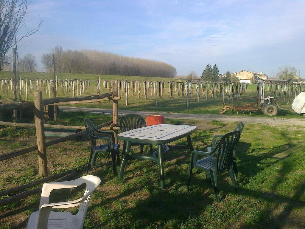 Agriturismo Antica Golena Guastalla Ngoại thất bức ảnh